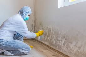 Why You Should Choose Our Mold Remediation Services in Grants Pass, OR