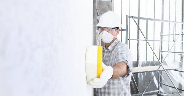 Mold Odor Removal Services