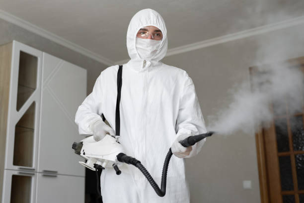 Best Mold Remediation for Healthcare Facilities  in Grants Pass, OR