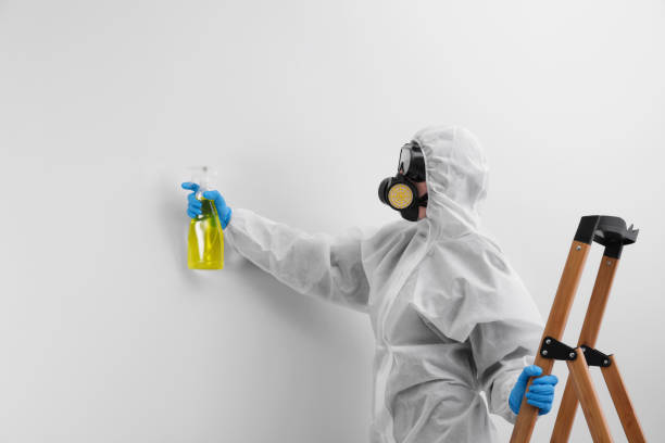 Mold Remediation for Rental Properties in Grants Pass, OR