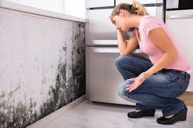 Best Mold Damage Restoration  in Grants Pass, OR